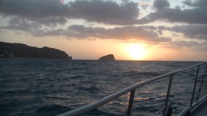 PIC_0010