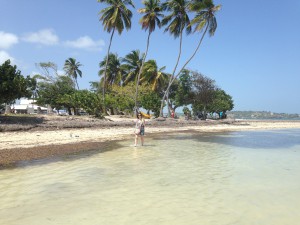 IMG_1578