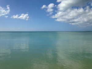 IMG_2727