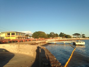 IMG_2867