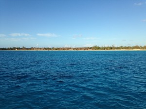 IMG_3127