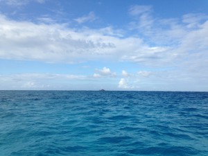 IMG_3141