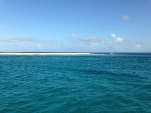 IMG_3165