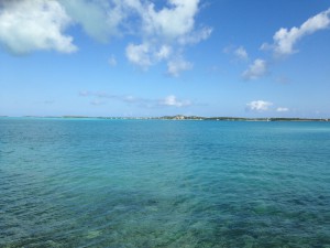 IMG_3200