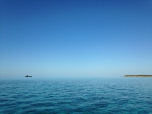 IMG_3272