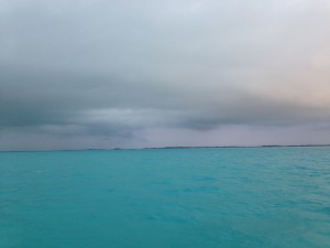 IMG_3317