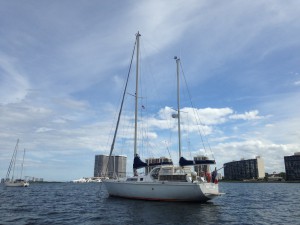 IMG_8184